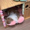 비즈그리다 | 합정 원데이클래스 | 스테인드글라스 공방 작업실그리다 후기