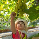 이레농장 이미지