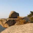 종고상회