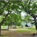 동호솔숲 이미지