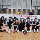 2018 청소년체육활동지원 여학생 스포츠 피구교실 - 세교고등학교 (5차시) 이미지