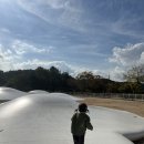 그림동산 어린이집 | [울산 남구 옥동] 울산대공원 키즈테마파크/뜀동산 :: 주말에 아이랑 갈만한 곳 생생 방문 후기