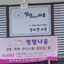 댕댕이의하루