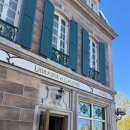 아이디모터스 | [디즈니 인턴] 본격적인 일 시작 전 애니멀 킹덤, 매직 킹덤, 할리우드 스튜디오, 앱캇 다 부시기