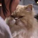 일진민박 이미지