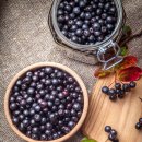 아로니아 이미지