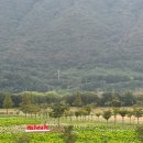 황산공원 배구장 이미지