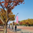 (주)민트쵸크 | [2022 그랜드민트페스티벌] Gae Michin Fuckin' 밴드 나씨밴 보러 다시 돌아온 GMF로~