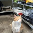 와야농장 이미지