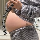 퀼트홀릭 | 임신 31주차 일상｜배크기, 태동, 배뭉침, 출산용품 구입, 태교 등등💦