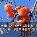 홍시감의 항산화작용 효능 이미지