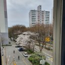 가이드존 스크린 골프 이미지