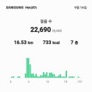 석전제 참석을 하려고 새벽에 만보를 걸었다 16.53km 22,690보 이미지