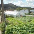 청양군대치면보건지소 이미지