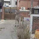오엠지