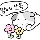 모아옷수선 네이버블로그