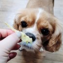 서아농장 이미지