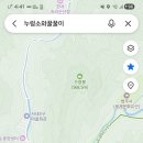 누렁소랑꿀꿀이