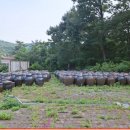 식송농장 이미지