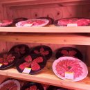 정원생고기 이미지