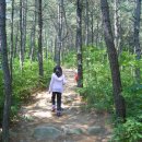 성포 초등학교 이미지