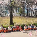 반별견학ㅡ🦋 방화 근린공원으로 벚꽃 나들이~~🌼🌷 이미지