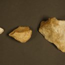 또또와공인중개사사무소 이미지