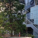 강허달림 20주년 콘서트 이미지