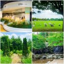 학명미술관 | 식린이의 우당탕탕 식초보 탈출기