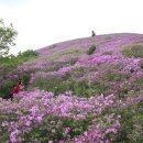 용추휴양림(하) 이미지
