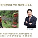 법무법인대한중앙 이미지