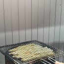 남강민물장어 이미지