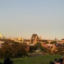 남호글로벌 | [호주 간호대 유학 준비] 3편:도시를 정해보자 | 호주 간호대 유학 도시별 비교 | 시드니/멜버른...