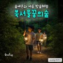 숲에온 환경