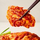 신나는유통 | 신나는김치 매운김치 실비김치 당일생산 당일발송 인기 순위 상위권인 이유 알아보기