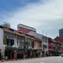 소주나라 | 싱가포르 차이나타운 맛집 동북소주 메뉴 꿔바로우 내 돈 내산 후기 东北小厨 Dong Bei Xiao Chu