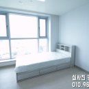 롱스테이텔 이미지