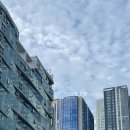 센트럴뷰세탁 이미지