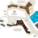 소노캄 델피노 A . B 이미지