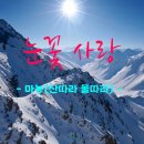 눈꽃사랑 - 대덕구 홍도로73번길 47 | 눈꽃사랑