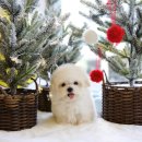 달링하이울산 이미지