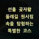 선흘숲 | 선흘 곶자왈 둘레길 원시림 속을 탐험하는 특별한 코스