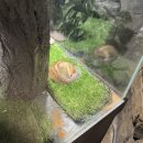 한화연기LPG충전소 화장실 | 한화 아쿠아플라넷 제주 도민할인 티켓 할인정보 바다사자 치코 오션아레나 공연시간 내돈내산 후기