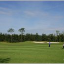 상록골프장 이미지