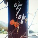 대봉
