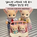 여우늘 | 실바니안 패밀리 사막여우 가족 후기｜청주 커넥트현대 레고 매장 구매