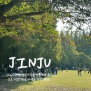 어린이공원12호(산림조합) | 2025 경상남도 수목원 단풍축제 후기 : 진주 가볼만한곳, 아이와 가볼만한곳 가을 나들이 최고 (입장료...