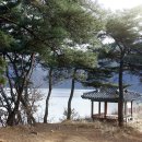 상모재 티스토리