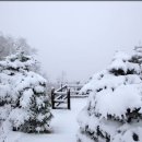 소나무 황토빌 이미지