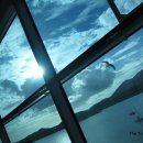 오늘은 꽃단장 이미지